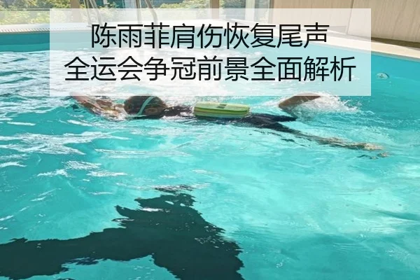 陈雨菲肩伤恢复尾声 全运会争冠前景全面解析
